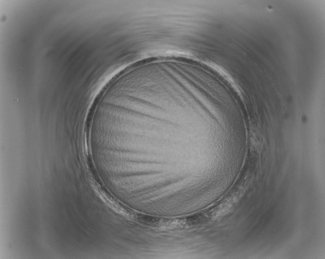 X0000078860887200611271409