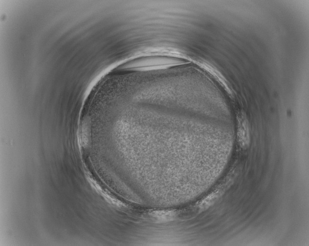 X0000078860888200611271409