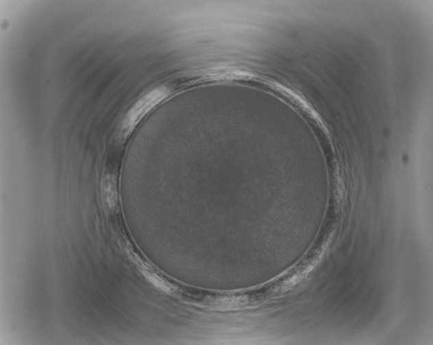 X0000078860889200611271409