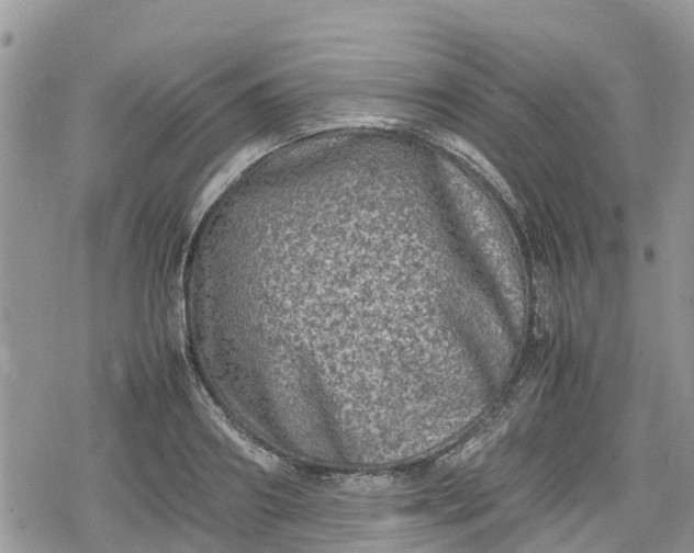 X0000078860890200611271409