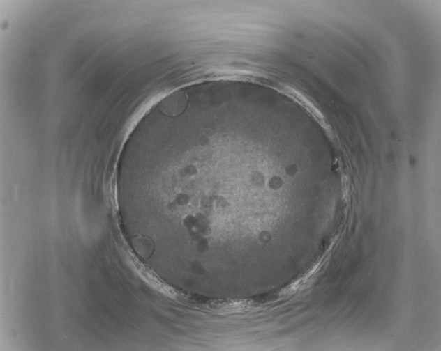 X0000078860891200611271409