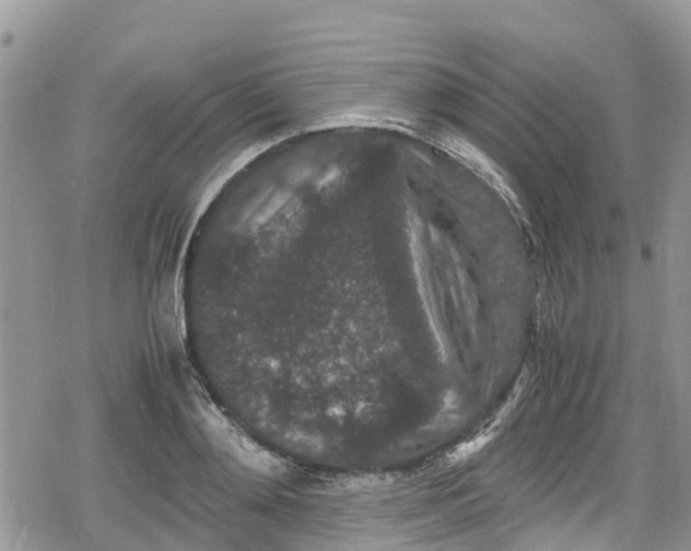 X0000078860892200611271409