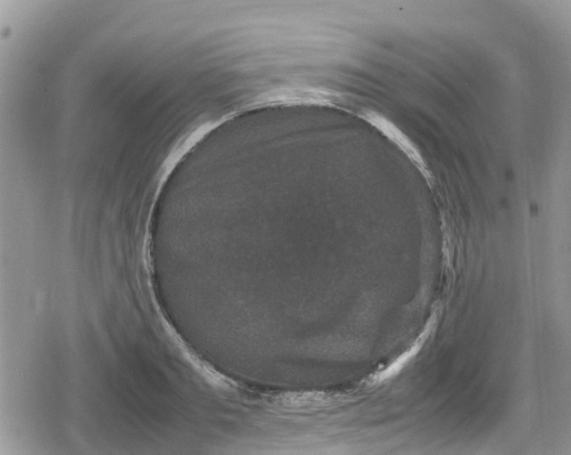 X0000078860893200611271409