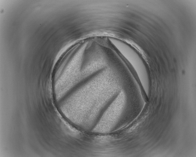 X0000078860894200611271409