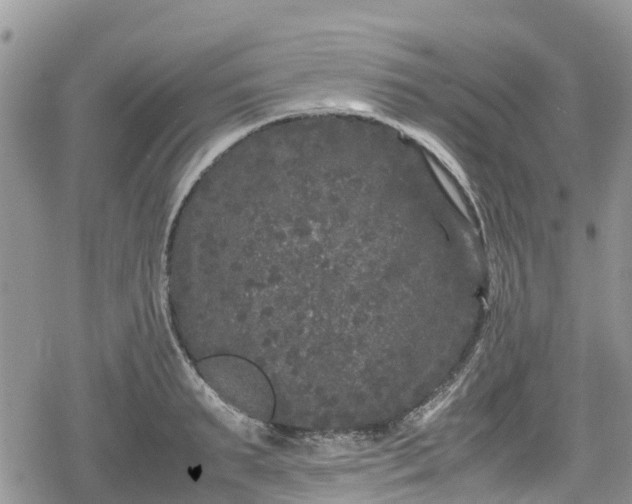 X0000078860895200611271409