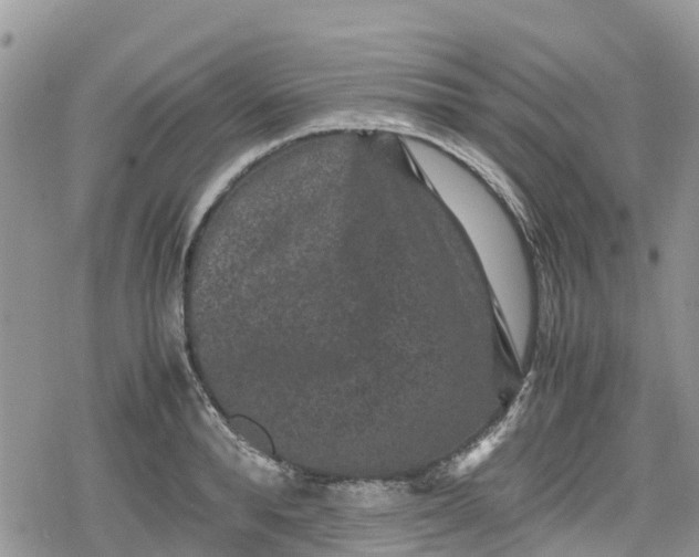 X0000078860896200611271409