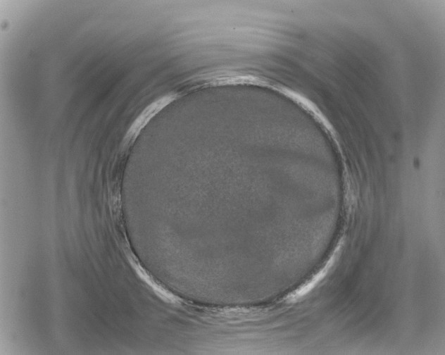 X0000078860897200611271409