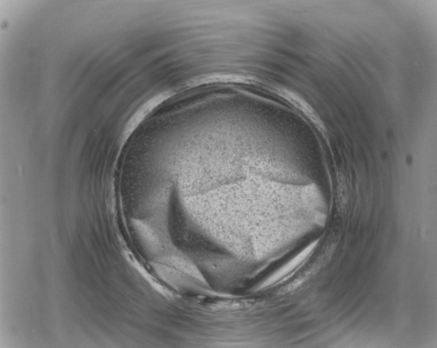 X0000078860898200611271409