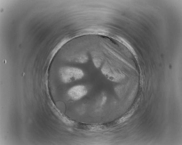 X0000078860899200611271409