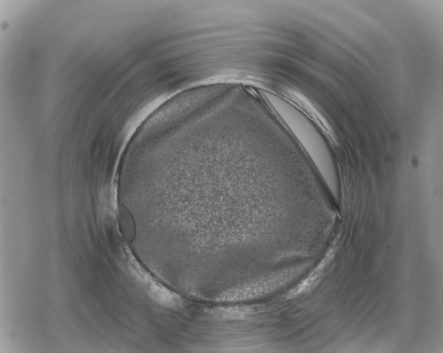 X0000078860900200611271409