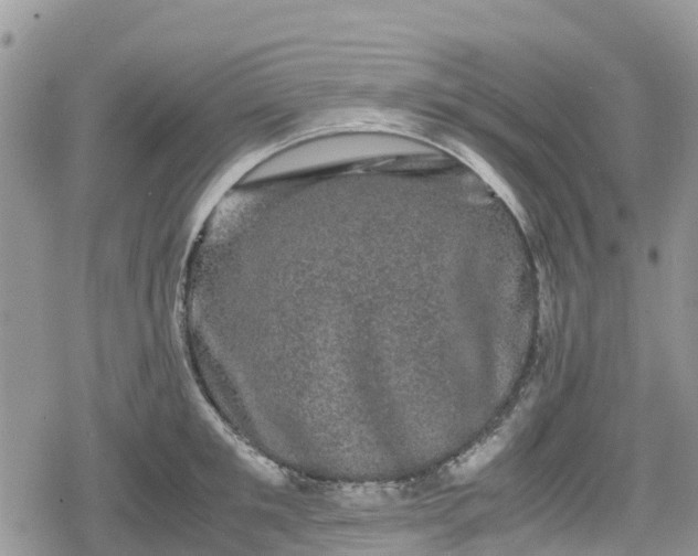 X0000078860901200611271409