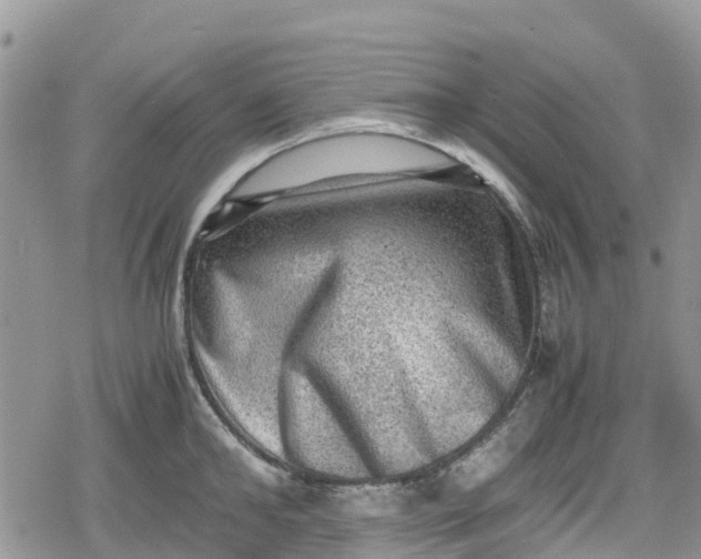 X0000078860902200611271409