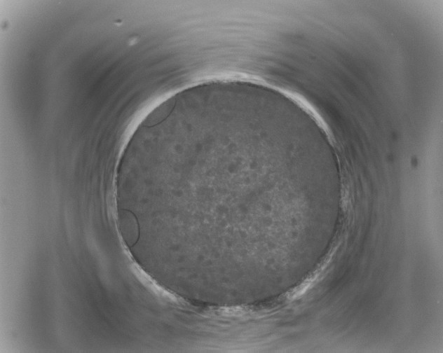 X0000078860903200611271409