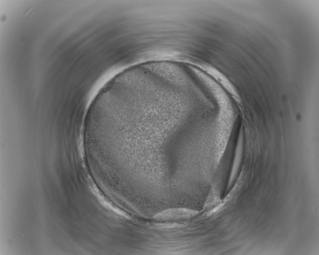 X0000078860904200611271409