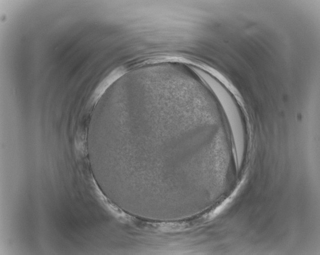 X0000078860905200611271409