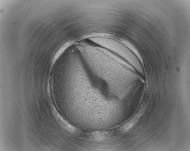 X0000078860906200611271409