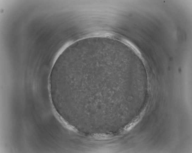 X0000078860907200611271409