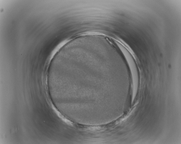 X0000078860909200611271408