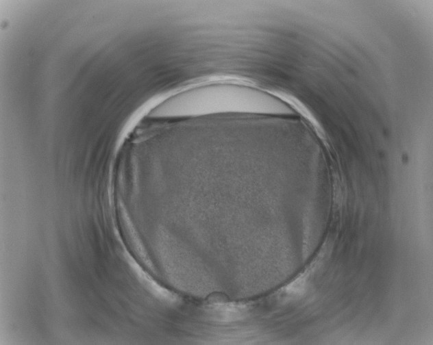 X0000078860910200611271408