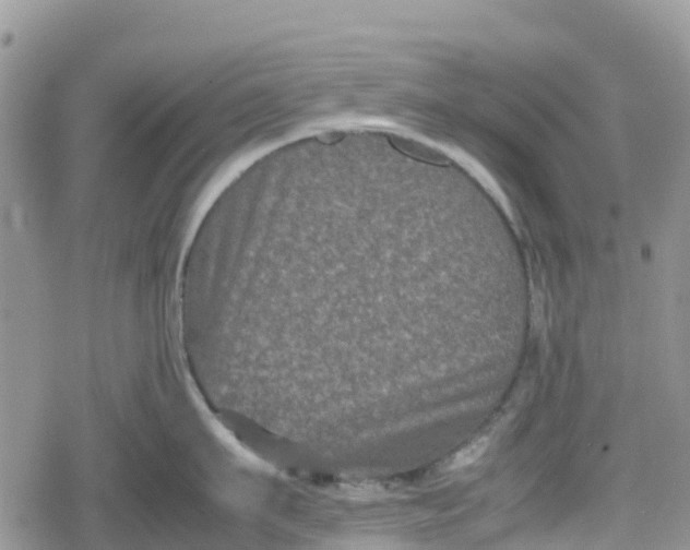 X0000078860911200611271408