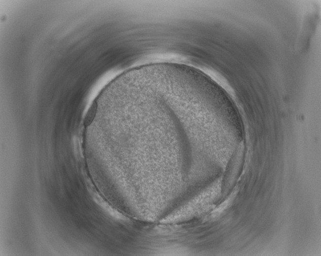 X0000078860912200611271408