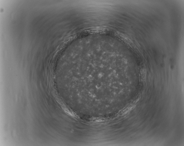 X0000078860913200611271408