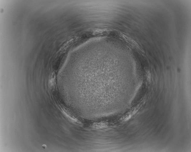 X0000078860914200611271408