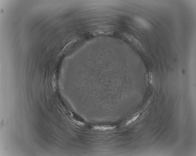 X0000078860915200611271408