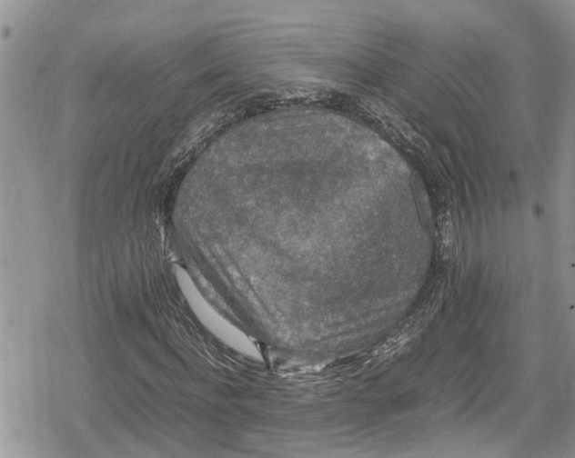 X0000078860916200611271408