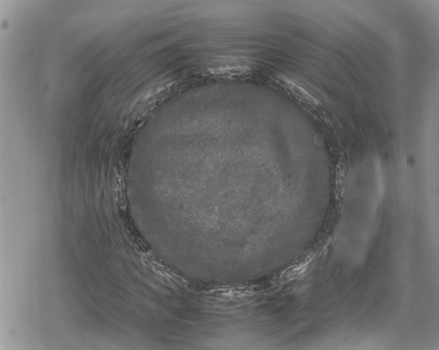 X0000078860917200611271408