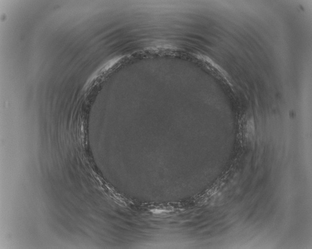 X0000078860919200611271408