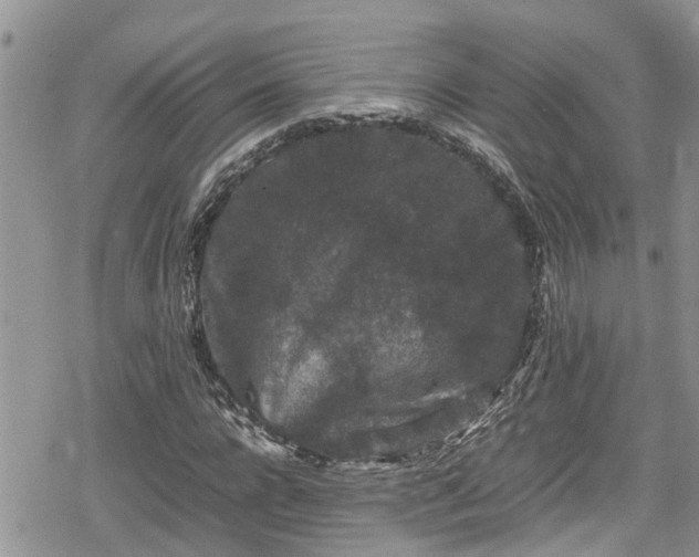 X0000078860920200611271408