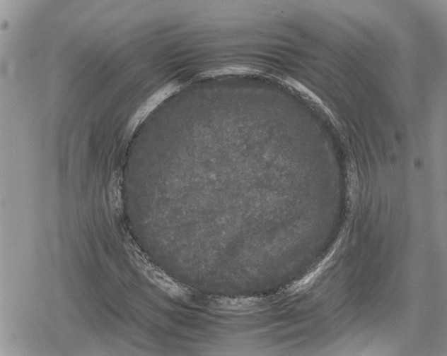 X0000078860921200611271408