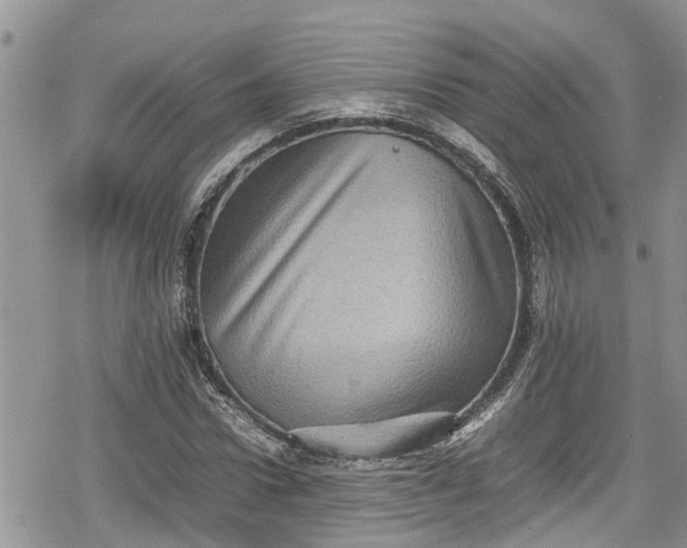 X0000078860922200611271408