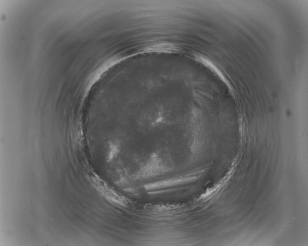 X0000078860923200611271408