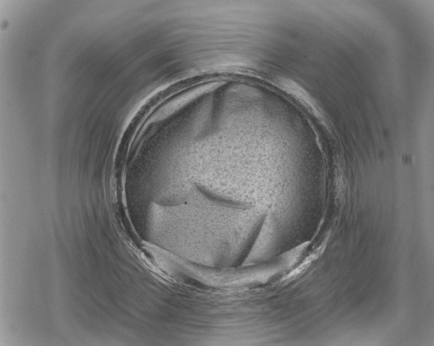 X0000078860924200611271408