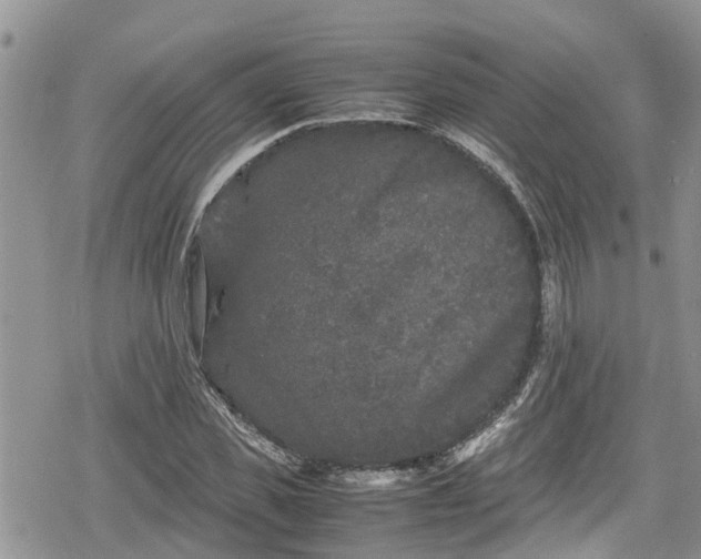 X0000078860925200611271408