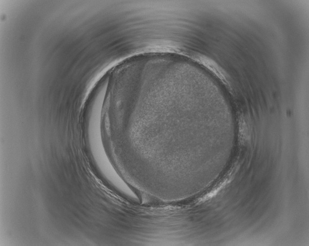 X0000078860926200611271408