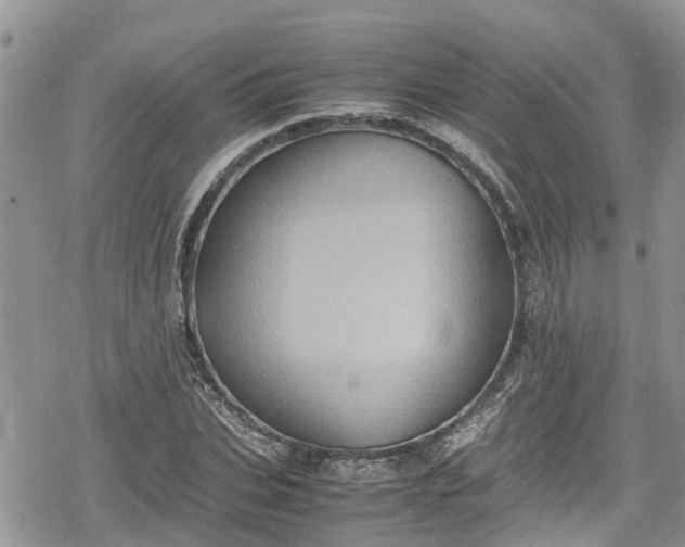 X0000078860927200611271408