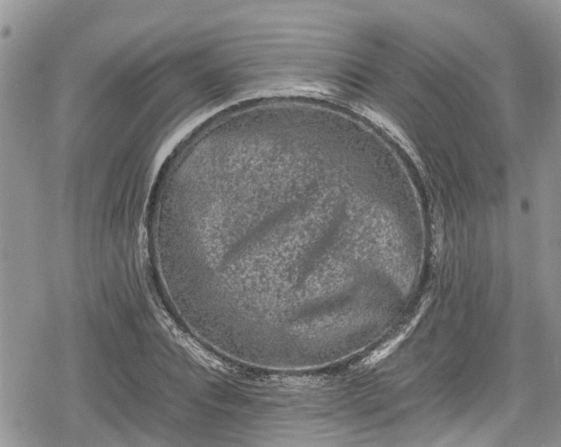 X0000078860928200611271408