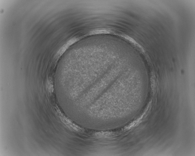 X0000078860929200611271408