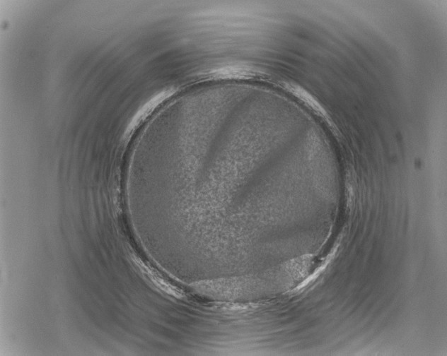 X0000078860930200611271408