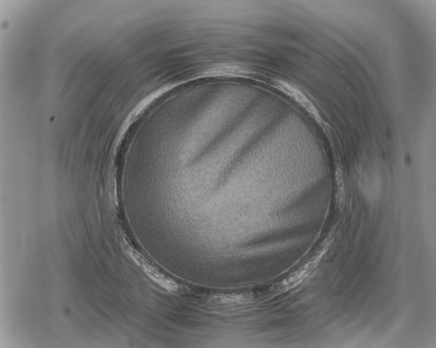 X0000078860931200611271408