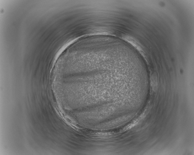 X0000078860933200611271408