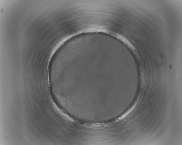 X0000078860934200611271408