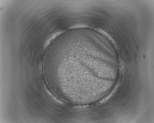 X0000078860937200611271408