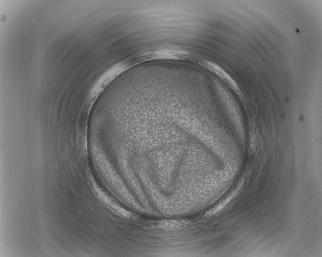 X0000078860938200611271408