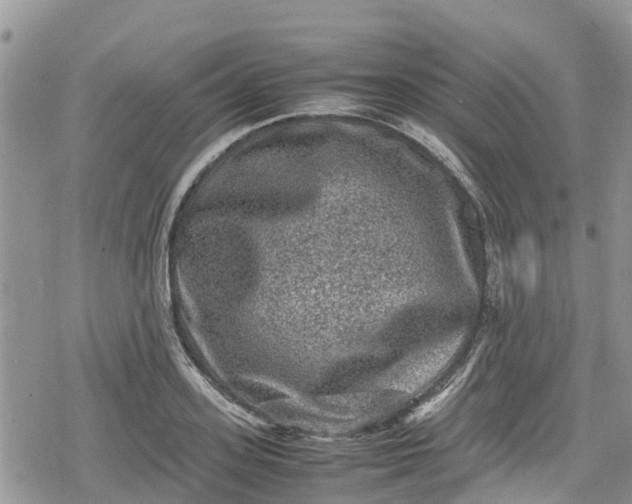 X0000078860939200611271408