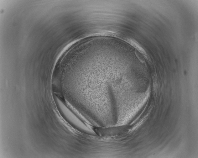 X0000078860940200611271408