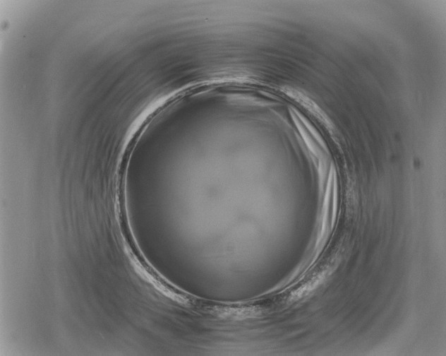 X0000078860941200611271408